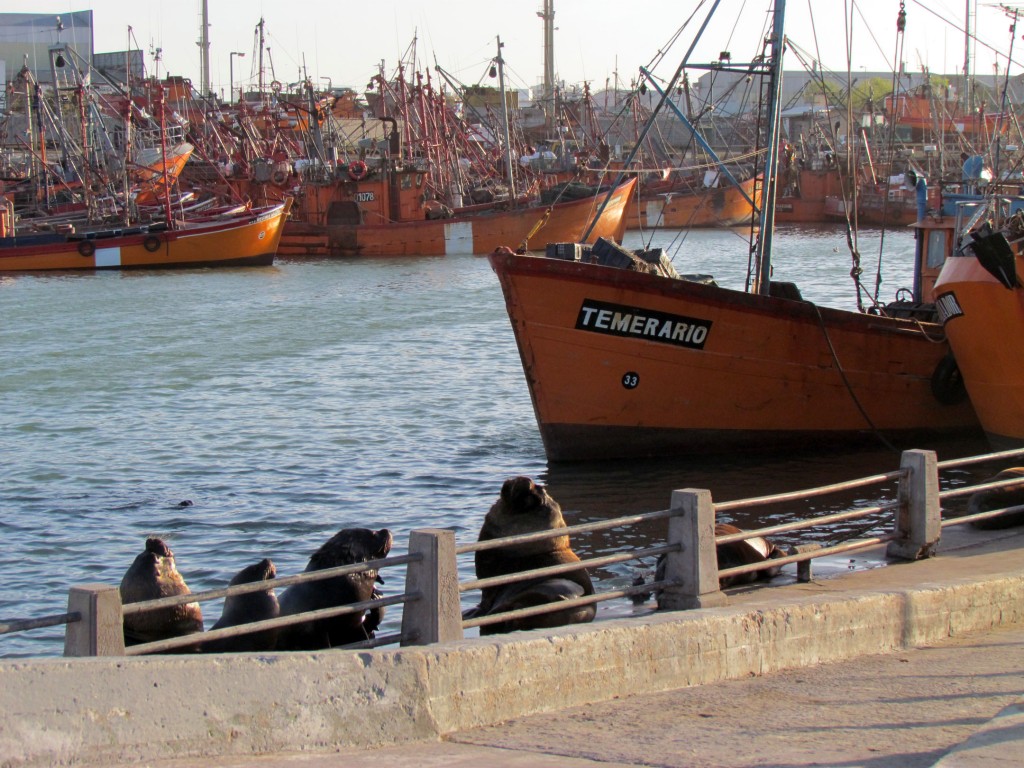 temerario nueva-1024x768