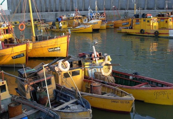 Puerto-ingeniero-white