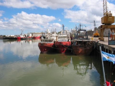 51123_INGENIERO_WHITE