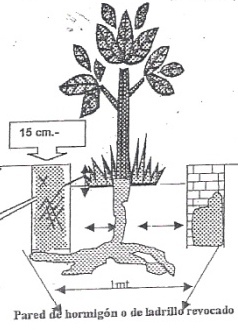 Cantero_reglamentario_nota