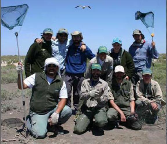 grupo_gaviota_cangrejera1